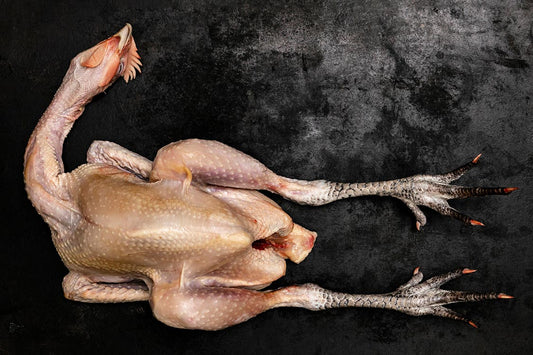 Bresse_Huhn_detail-2