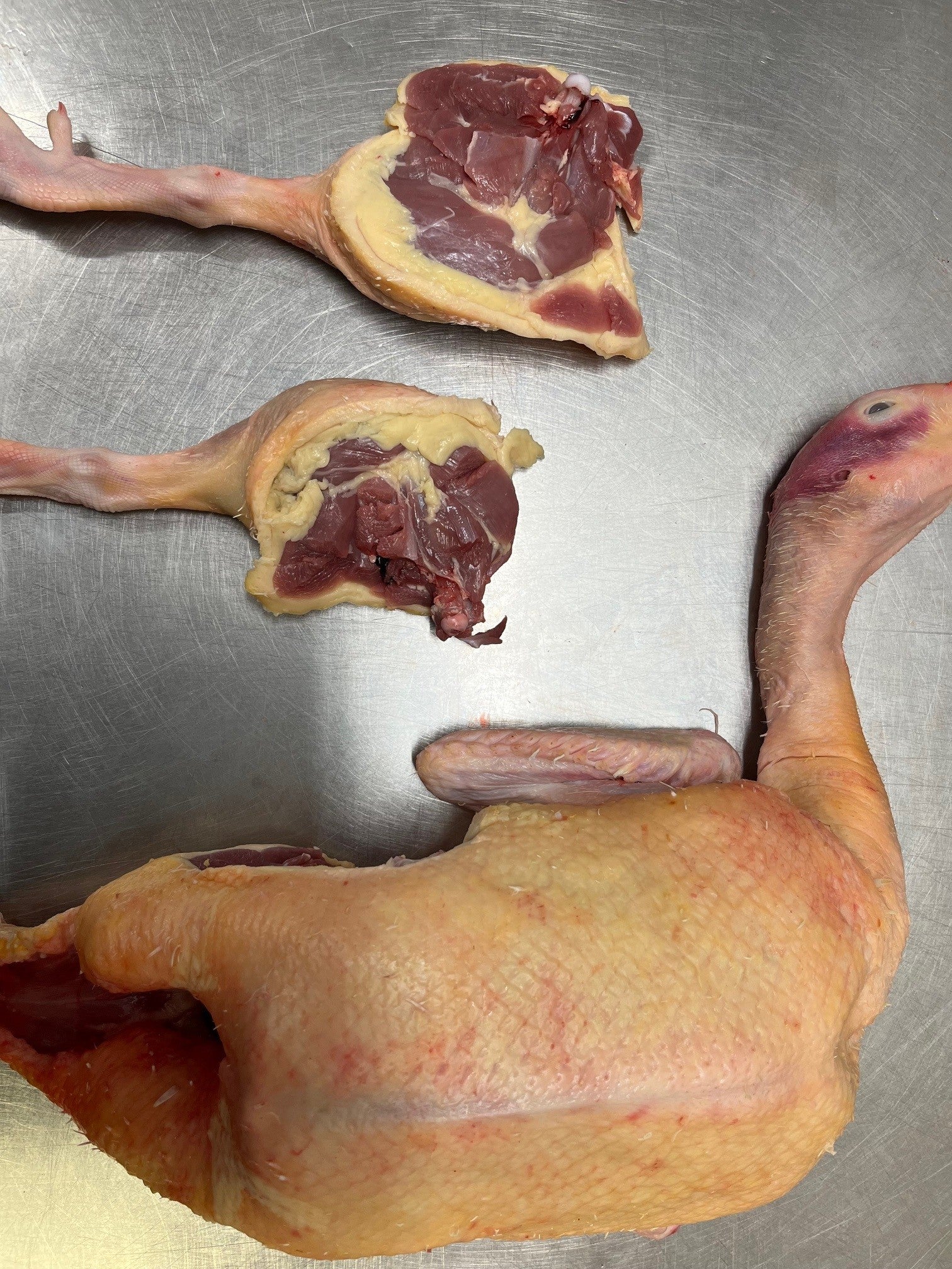 enten tenten teelika menten Mulardenente